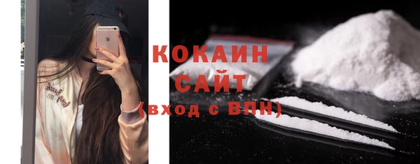 кокс Алексин