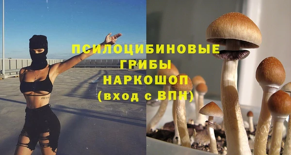 кокс Алексин