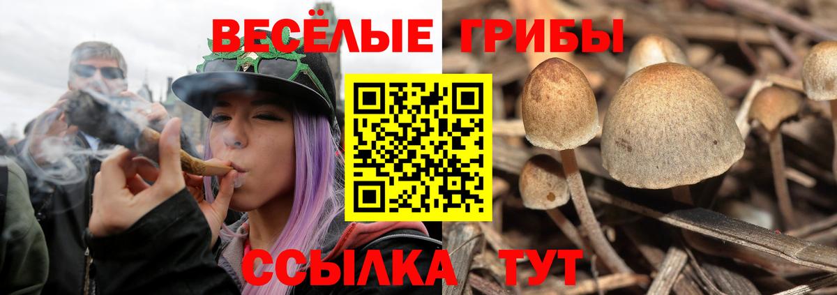 Галлюциногенные грибы мицелий  как найти закладки  Белебей  Вход с VPN  Галлюциногенные грибы Cubensis 
